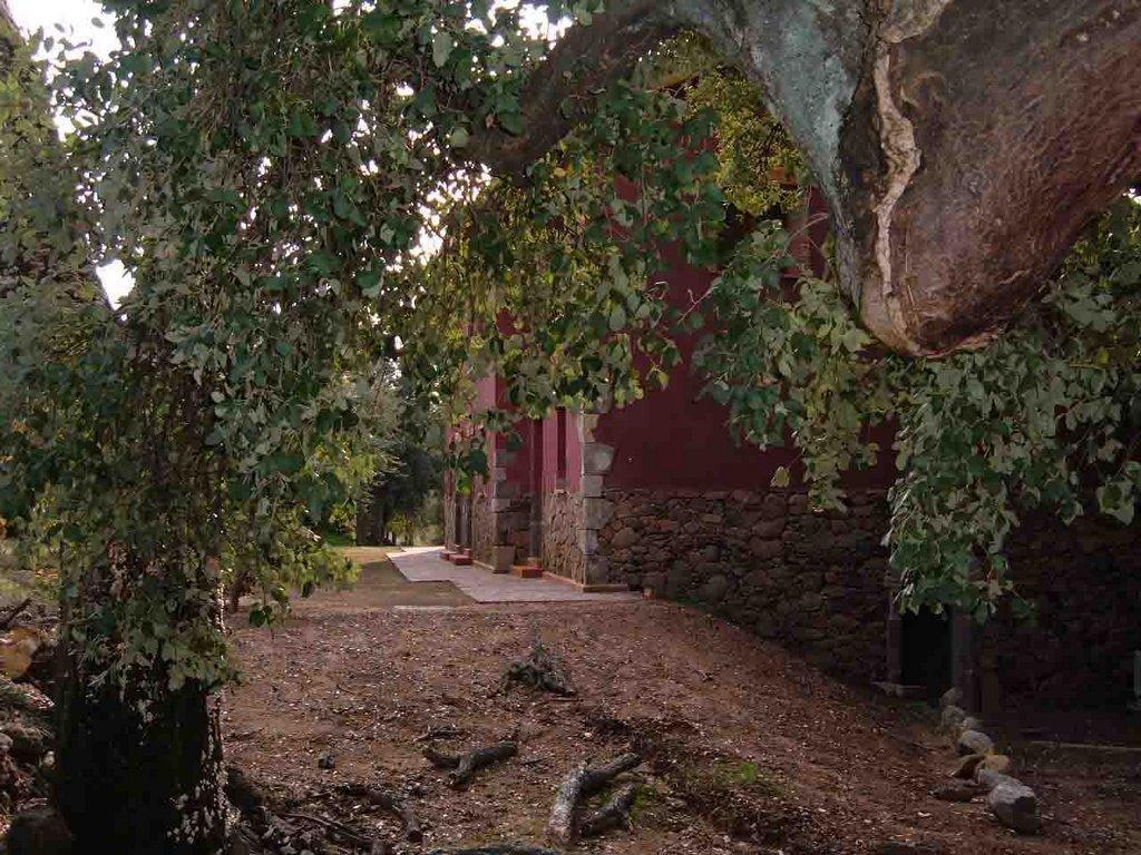 Apartamentos Rurales La Oropendola Jaraiz de la Vera Exteriör bild